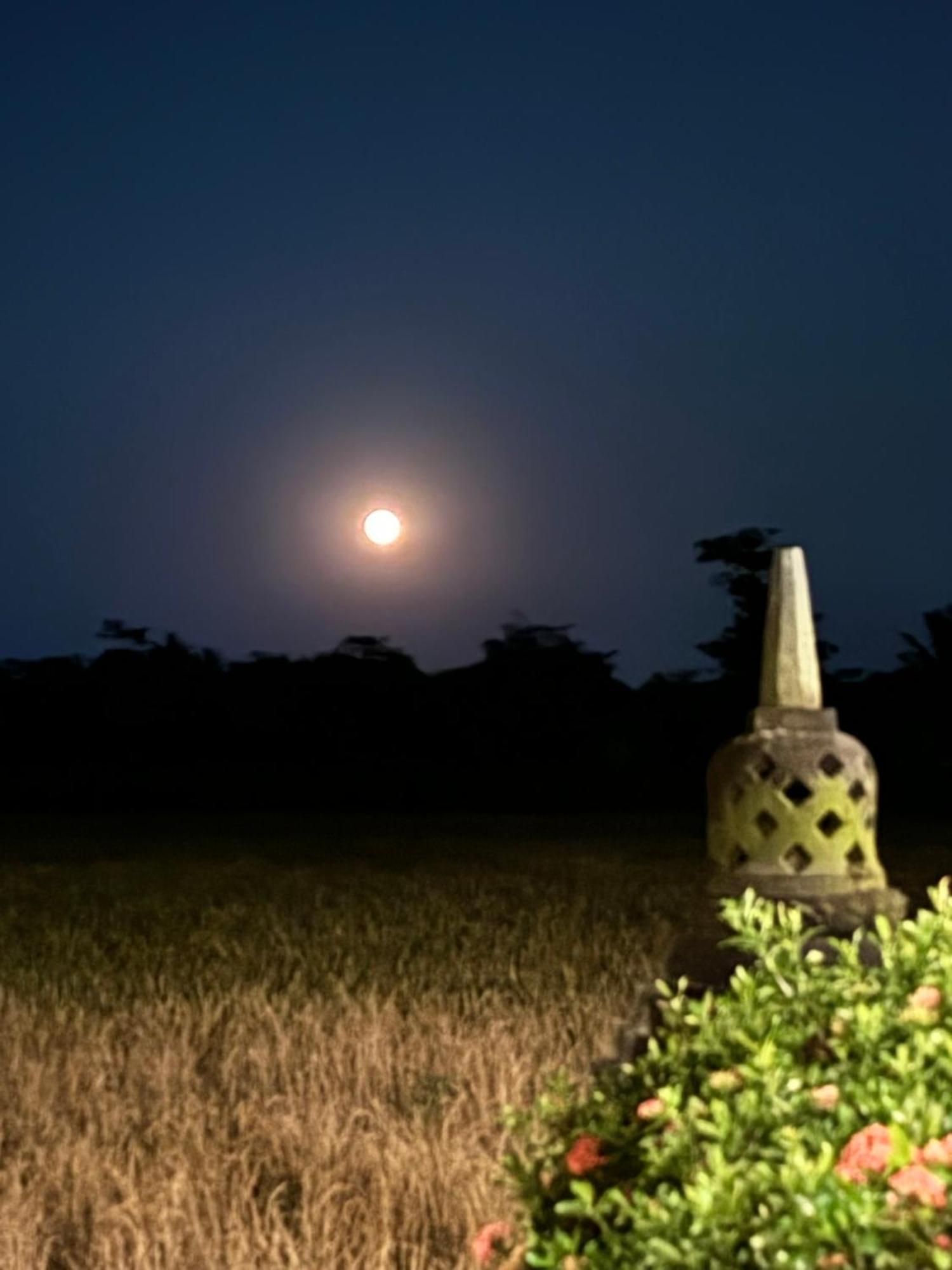 Rumah Dharma มาเกอลัง ภายนอก รูปภาพ
